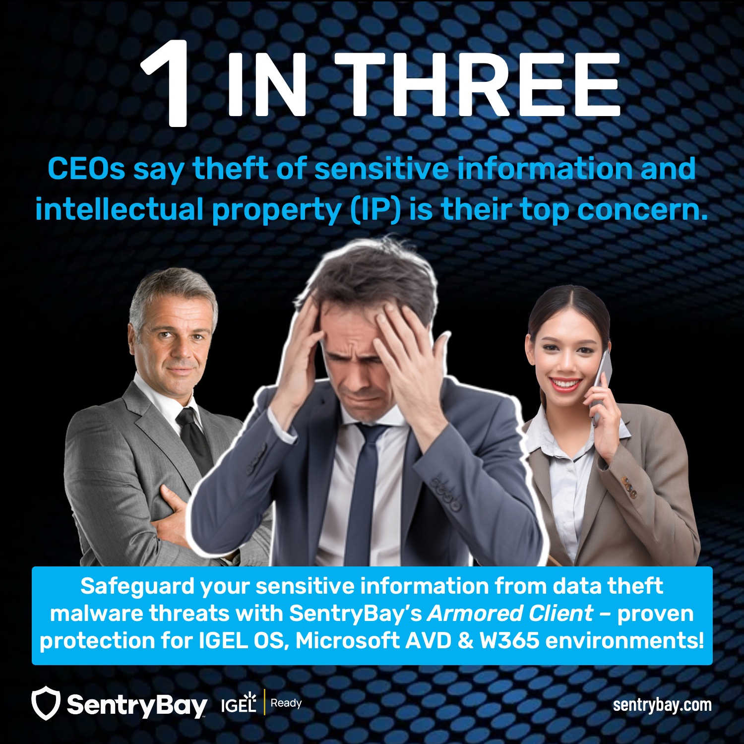 Top Concern Did You Know? 1 in Three CEOs Say Theft of Sensitive Information and ...